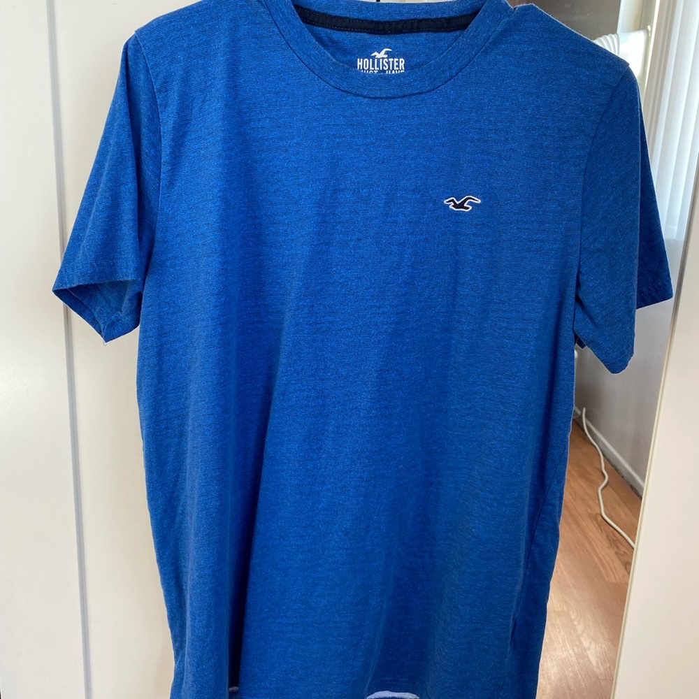Hollister Co T-Shirt, Size Medium, Color Blue